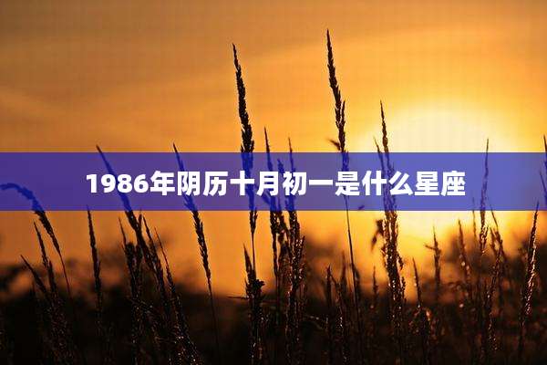 1986年阴历十月初一是什么星座