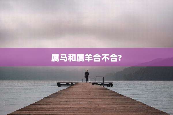 属马和属羊合不合?
