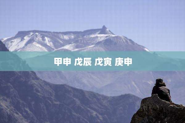 甲申 戊辰 戊寅 庚申