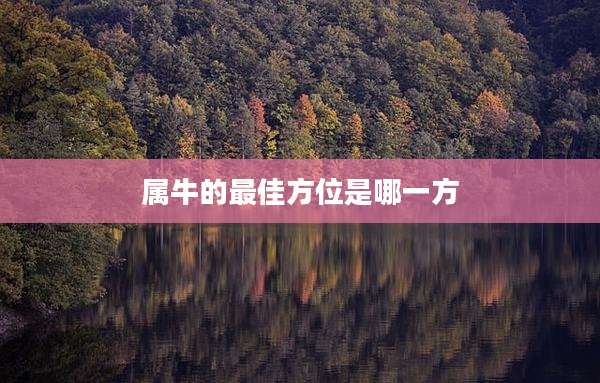 属牛的最佳方位是哪一方