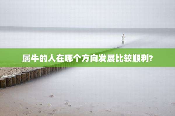属牛的人在哪个方向发展比较顺利?