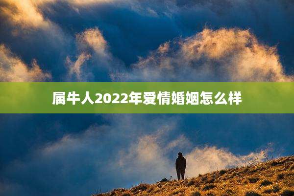 属牛人2022年爱情婚姻怎么样
