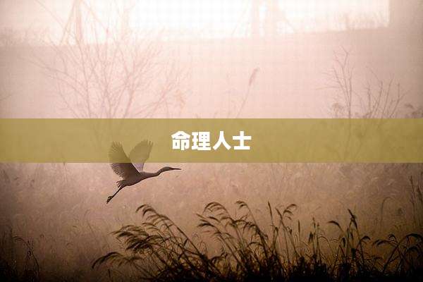命理人士