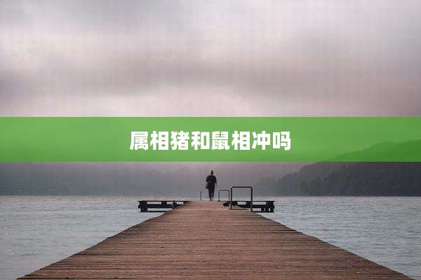属相猪和鼠相冲吗