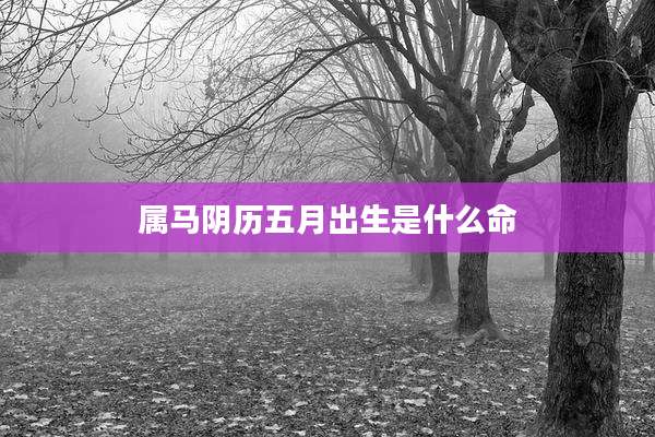 属马阴历五月出生是什么命