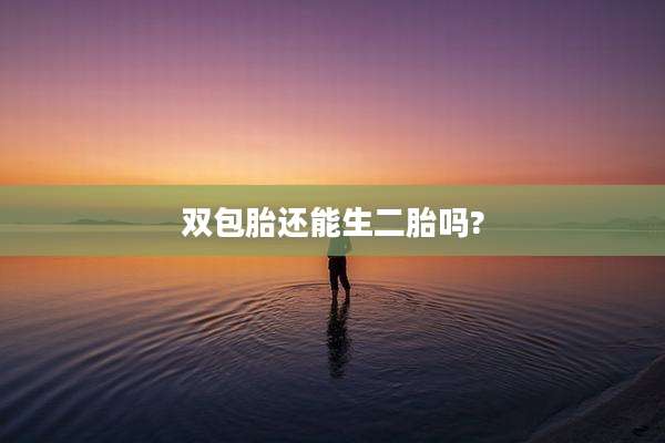 双包胎还能生二胎吗?