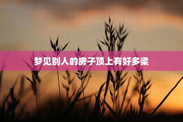 梦见别人的房子顶上有好多梁