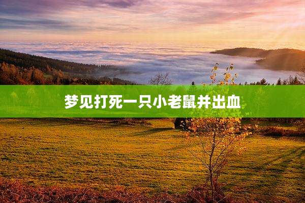 梦见打死一只小老鼠并出血