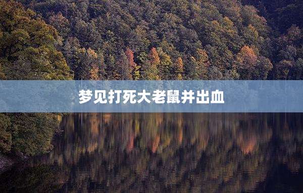 梦见打死大老鼠并出血