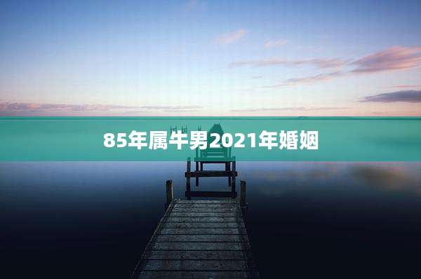 85年属牛男2021年婚姻
