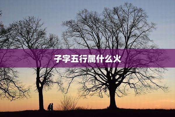 子字五行属什么火