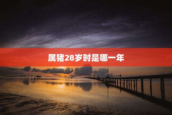 属猪28岁时是哪一年
