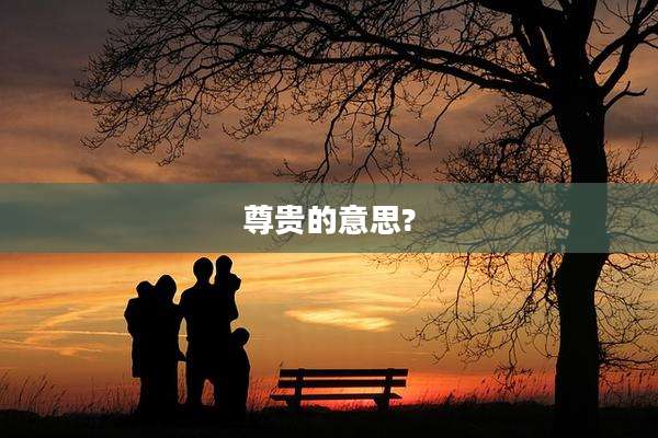 尊贵的意思?