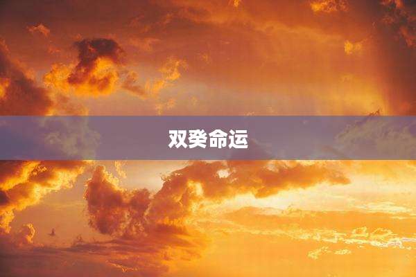 双癸命运