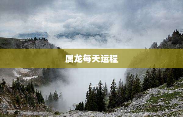 属龙每天运程
