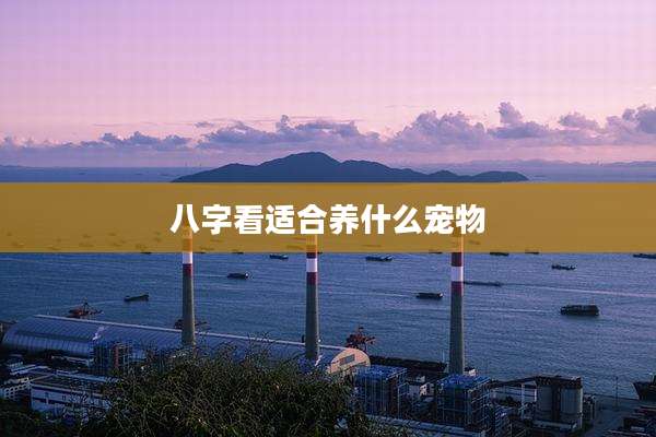 八字看适合养什么宠物