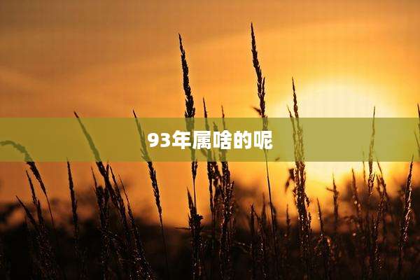 93年属啥的呢
