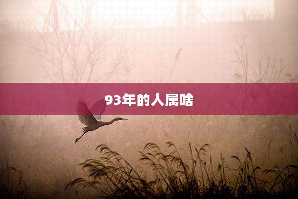 93年的人属啥