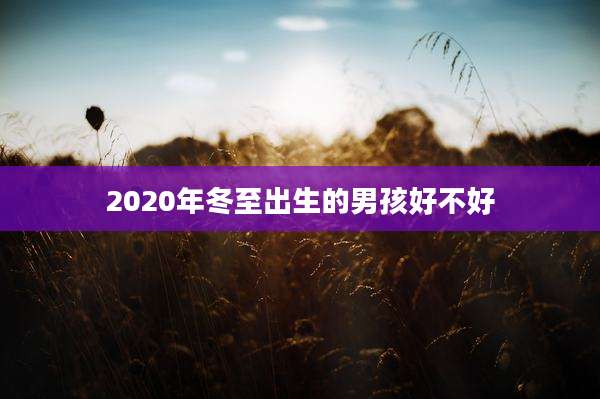 2020年冬至出生的男孩好不好