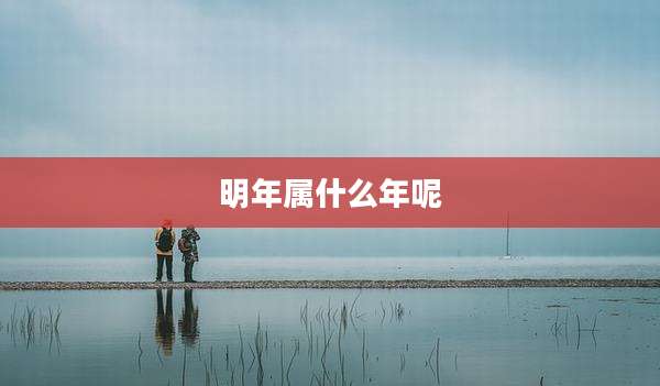 明年属什么年呢