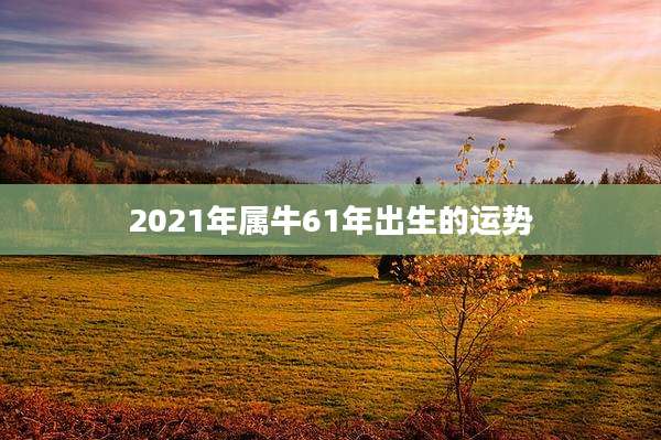 2021年属牛61年出生的运势