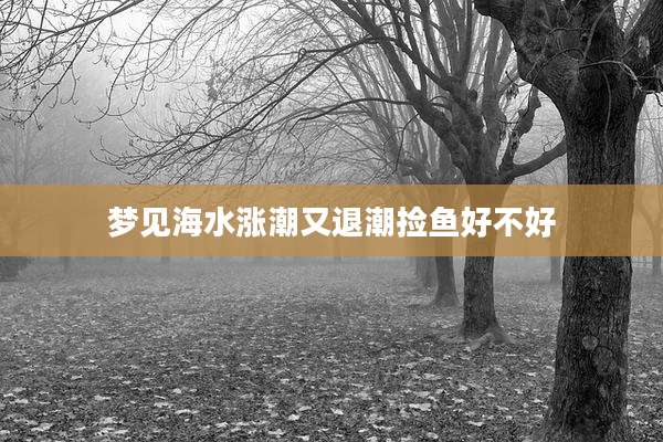 梦见海水涨潮又退潮捡鱼好不好