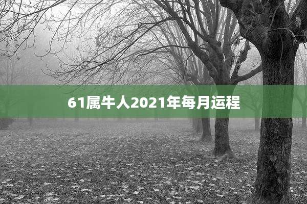 61属牛人2021年每月运程