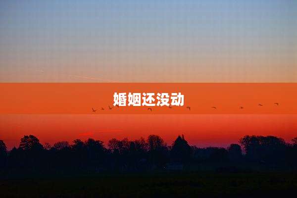 婚姻还没动
