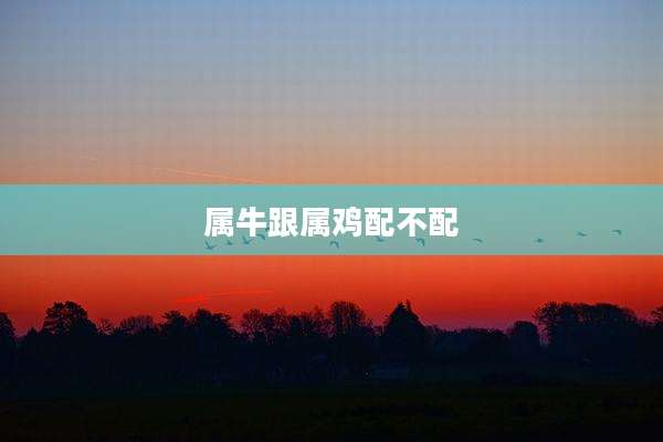 属牛跟属鸡配不配
