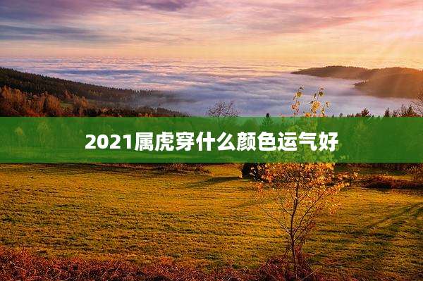 2021属虎穿什么颜色运气好