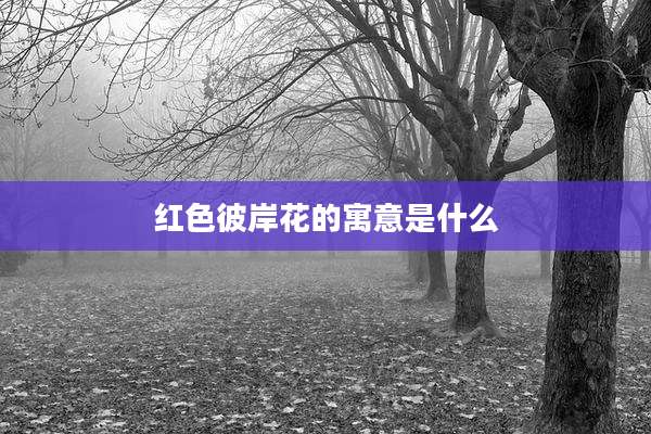 红色彼岸花的寓意是什么