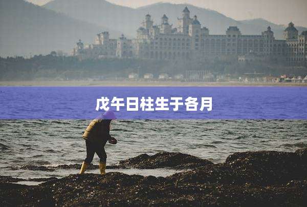 戊午日柱生于各月