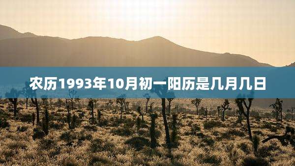 农历1993年10月初一阳历是几月几日