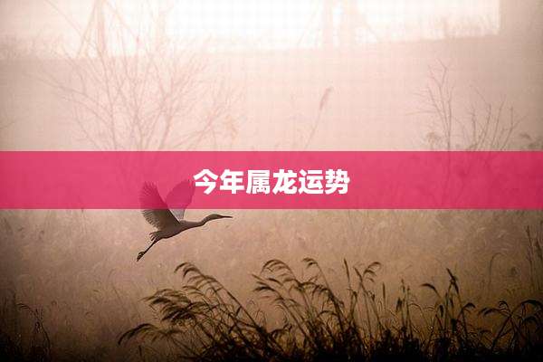 今年属龙运势