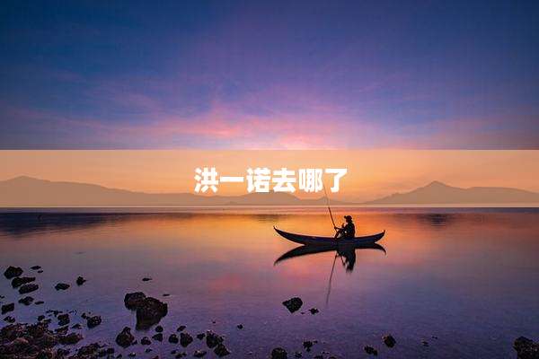 洪一诺去哪了