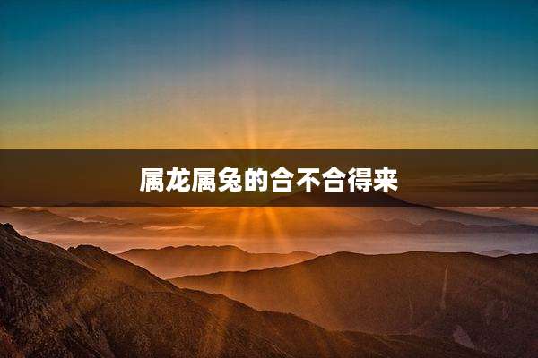 属龙属兔的合不合得来