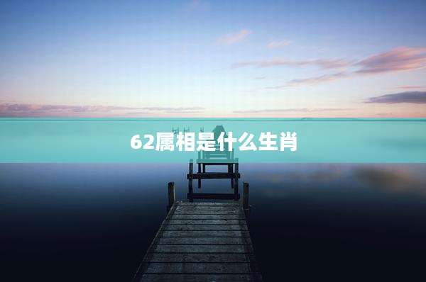 62属相是什么生肖