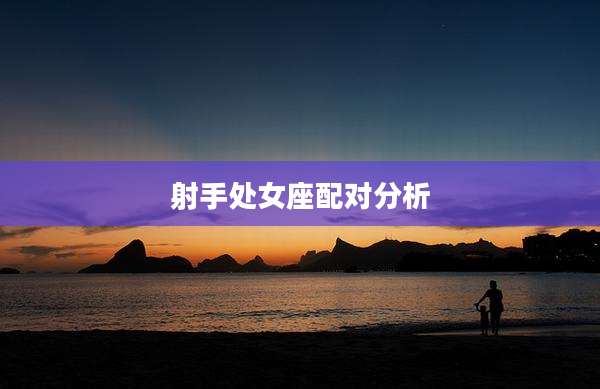 射手处女座配对分析