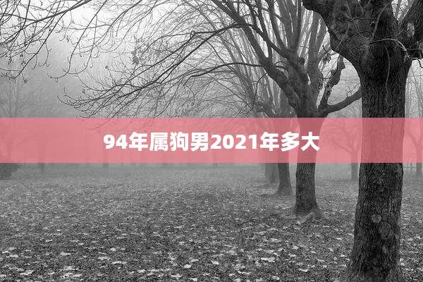 94年属狗男2021年多大