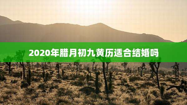 2020年腊月初九黄历适合结婚吗