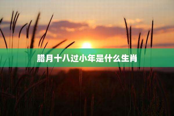 腊月十八过小年是什么生肖
