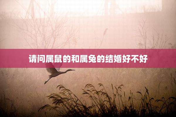 请问属鼠的和属兔的结婚好不好