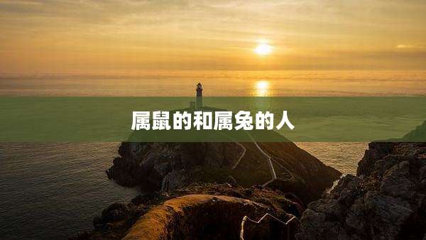 属鼠的和属兔的人