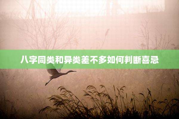 八字同类和异类差不多如何判断喜忌