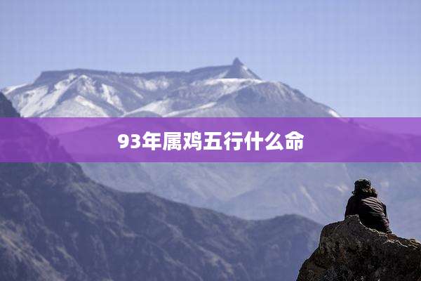 93年属鸡五行什么命