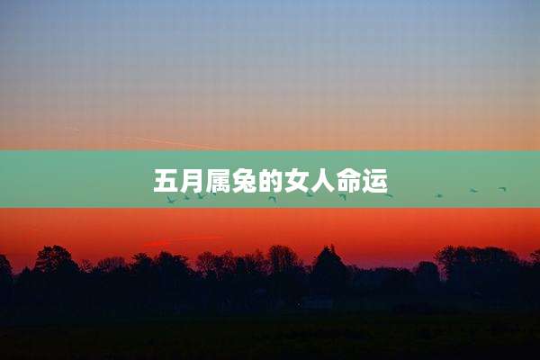 五月属兔的女人命运