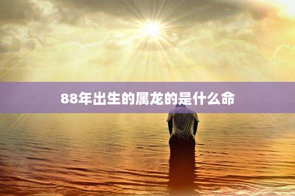 88年出生的属龙的是什么命