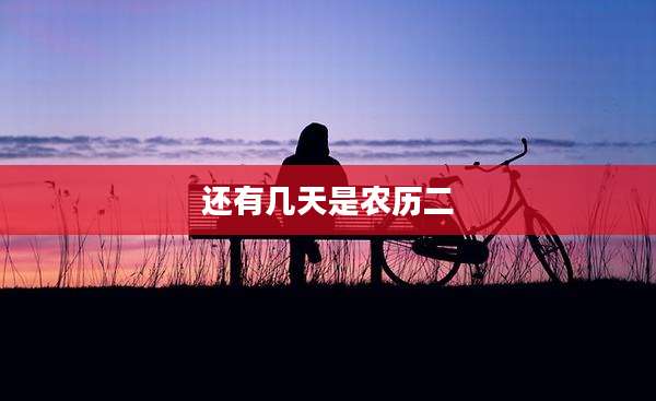 还有几天是农历二