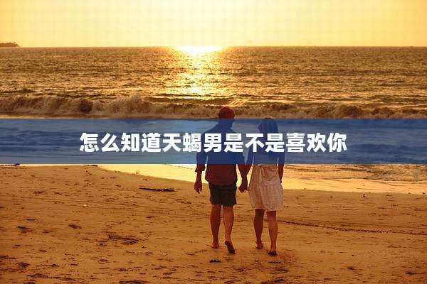 怎么知道天蝎男是不是喜欢你