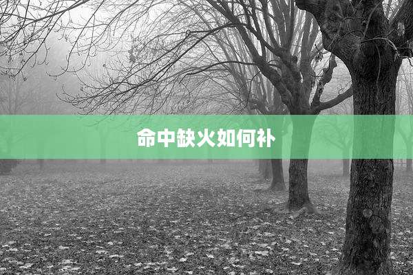 命中缺火如何补